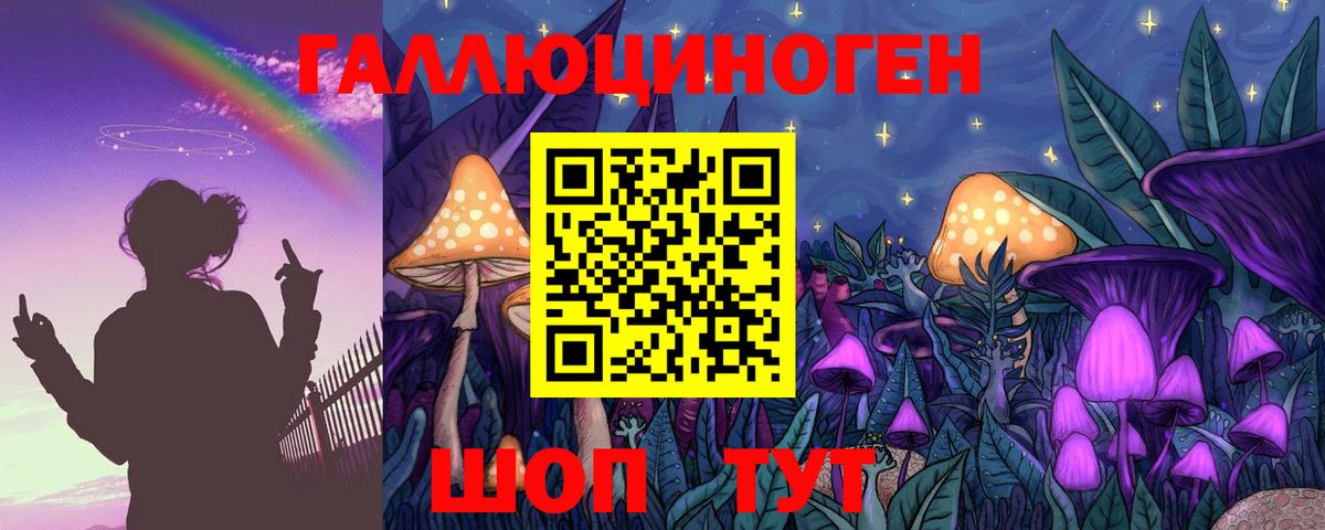Каменск-Уральский  Псилоцибиновые грибы MAGIC MUSHROOMS  Вход с VPN 